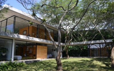 Casa Tacuri, un concepto que invita a vivir entre los árboles